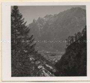 Mittenwald