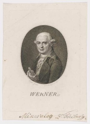Bildnis des Werner