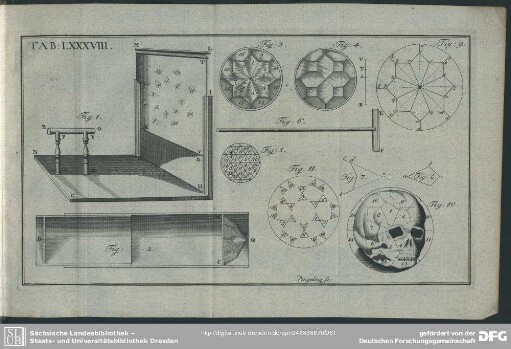 Tab: LXXXVIII.