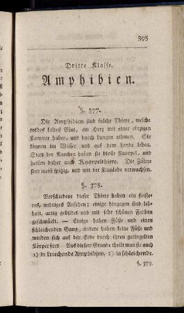 Dritte Klasse. Amphibien