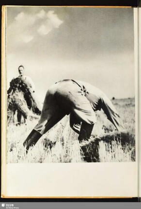 [Auf dem Feld]