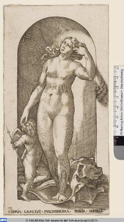 Venus