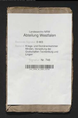 Das Teepenkolonat im Kirchspiel Cappeln