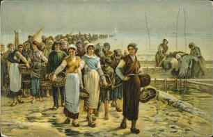 Retour de la pêche aux huitres