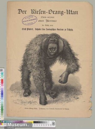 Der Riesen-Orang-Utan