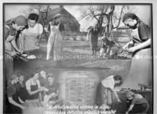 Fotomontage aus der Ausstellung "Arbeitsmaiden"