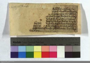 Bischof N.N. gewährt allen, die die Elisabethkirche und die Elisabethkapelle in Marburg besuchen und beschenken, einen 40tägigen Ablaß.