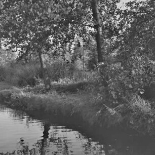 Landschaftsbild. Fließgewässer im Spreewald. : Wobraz krajiny. Groble w Błótach.