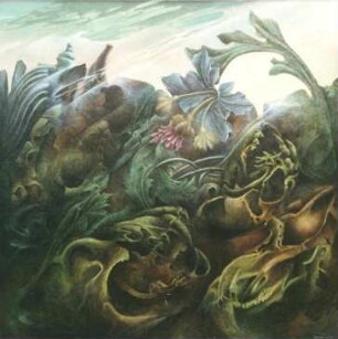 Selva