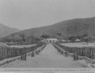 Farm : Zufahrt zu einer Farm und den Ackerflächen