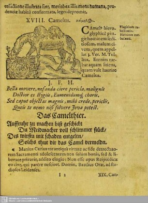 XVIII. Camelus