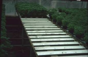 Fotografie: Gartenbautechnik-Gewächshaus, Topfmaschine