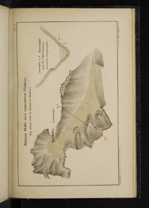 Taf. 5. Rüfiruns Mollis nach supponirtem Pfahlbau.