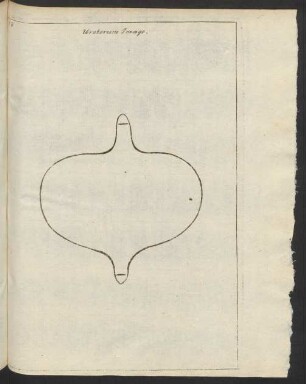 Ureterum Imago.