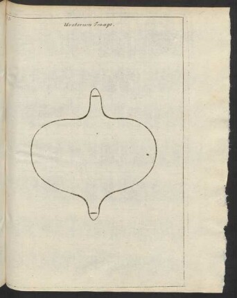 Ureterum Imago.