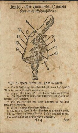 Kalbs- oder Hammels-Quallen oder auch Schöpfskeule