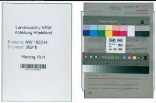 Entnazifizierung Kurt Herzog , geb. 06.01.1893 (Disponent)