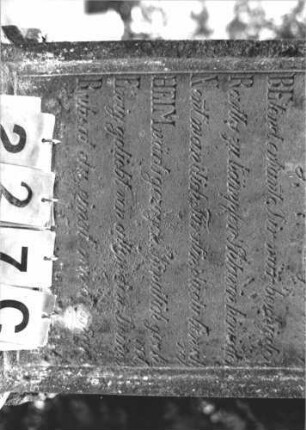Grabstein 227 (Index: 100106999) Material: Sandstein Zustand: stark verwittert, abblätternd, teilweise Textverlust, Lettern teilweise falsch nachgezogen Maße HxBxT: 178x61x15 cm Beschreibung: ädikulaartige Stele mit Rundbogenabschluß, Palmettenaufsatz, 3/4-Säulen, Schriftfeld rechteckig eingetieft, Sockel Symbolik: floral: Grabstein 227C