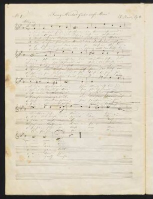 Jung Nicolas fuhr auf's Meer