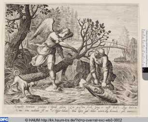 Ein grossen Fisch zeugt er auffs Landt