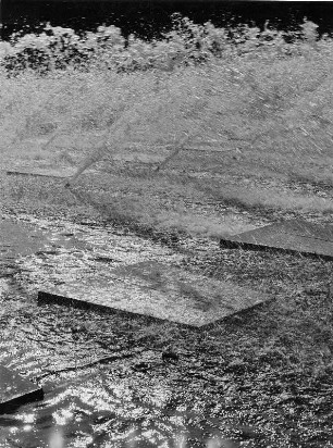 Hamburg. Internationale Gartenbauausstellung auf dem Gelände von Planten un Blomen 1963. Wasserspiel