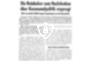 Die Reinbeker zum Nachdenken über Kommualpolitik angeregt