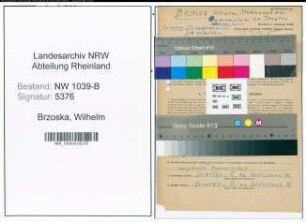 Entnazifizierung Wilhelm Brzoska , geb. 07.10.1891 (Studienrat)