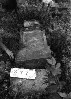 Grabstein 377 (Index: 100095457) Maße HxBxT: 166x55x19 cm: Grabstein 377