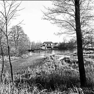 Schulenburg: Mühlenteich: vorn Bäume: im Hintergrund Wohnhaus [ehemaliges Mühlengebäude]