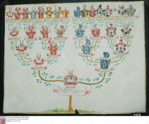 Ahnenprobe des a) Ernst Johann Philipp b) Otto Wilhelm Alexander c) Friedrich Adolph Rau v. u. z. Holzhausen. - ausgefertigt 1755 Juli 28