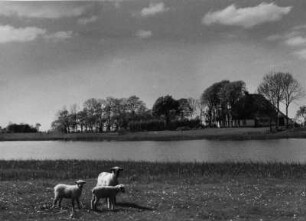 Untere Treene kurz vor Friedrichstadt, Schlei- und Eidermündung