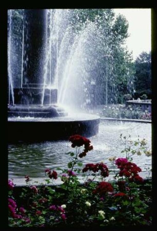 Schöneb. Stadtpark 7.7.67.