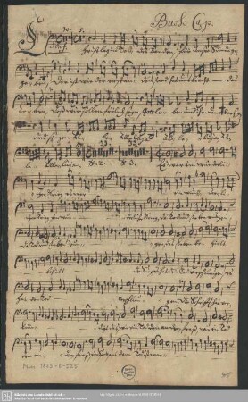 Basso Cap. [Schreiber:S.Jacobi]