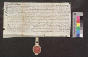 Michel Zehringer, freiherrlich pfirtischer Untertan und Vogt im Wirbstein, ist der Kirche St. Sebastian zu Breitnau 560 Gulden Kapital schuldig.