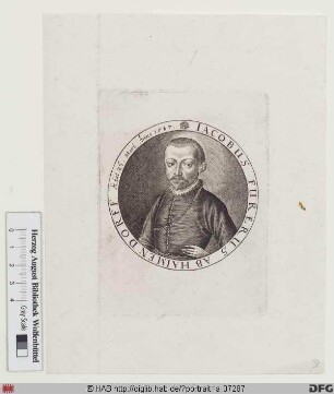 Bildnis Jacob Fürer (von Haimendorf)