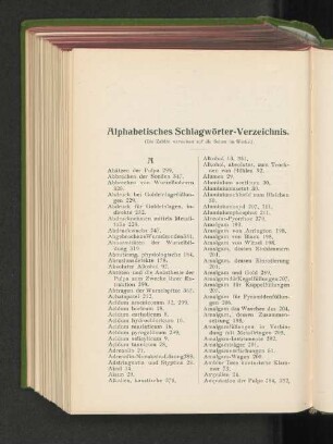 Alphabetisches Schlagwörter-Verzeichnis.