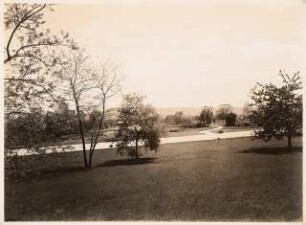 Reichsgartenschau 1939 auf dem Killesberg, Stuttgart: Staudenvergleichsschau