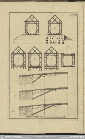 Tab. XXVIII