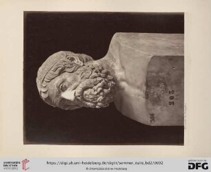 Musée de Naples