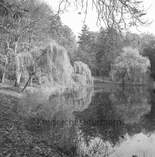Kurpark: Salzteich