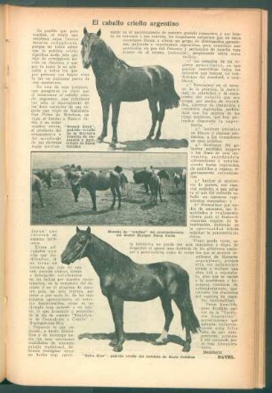 El caballo criollo argentino