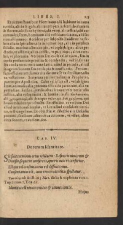 Cap. IV. De rerum Identitate.
