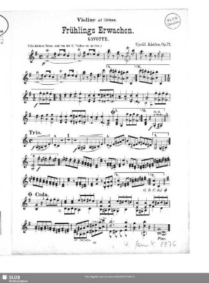 Violine