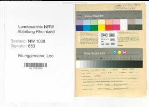Entnazifizierung Leo Brueggemann , geb. 04.02.1902 (Angestellter)