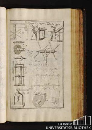 Tabula VI. Von Haspel.