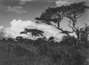 Savanne : Wolken über einer Savanne in Tansania