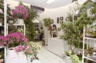 Freiburg: Blumenladen in der Salzstraße, innen