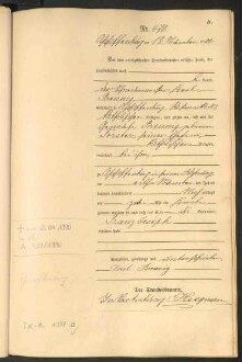 Standesamtsbuch der Stadt Aschaffenburg: Geburten 365/1900 - 184/1901