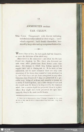 Ammonites auritus. Tab. CXXXIV
