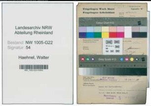 Entnazifizierung Walter Haehnel , geb. 22.11.1909 (Kaufm.Angestellter)
